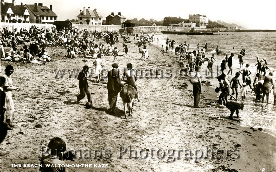 Ref 1118 Albion Beach with Donkey Ride