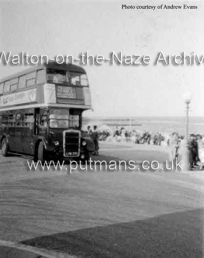 Ref 1875 Bus at Albion corner bus park c1953