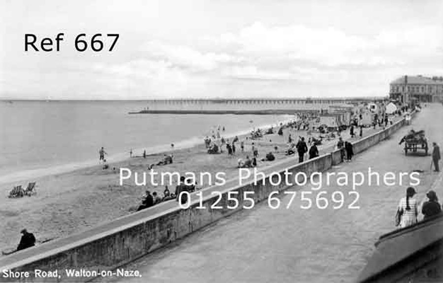 Ref 667 Shore Road