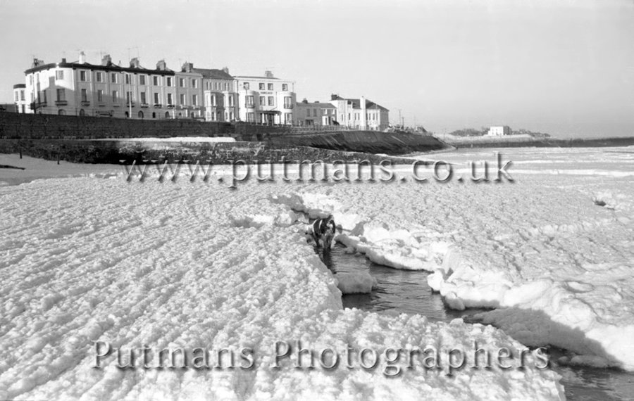 Ref 1013