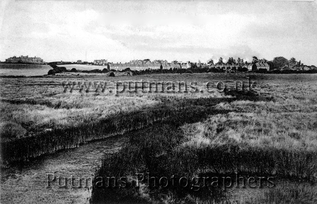 Ref 1317 Naze Estate and Hall Marshes c1910