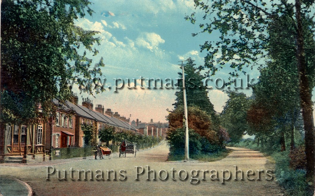 Ref 1408 Naze Park