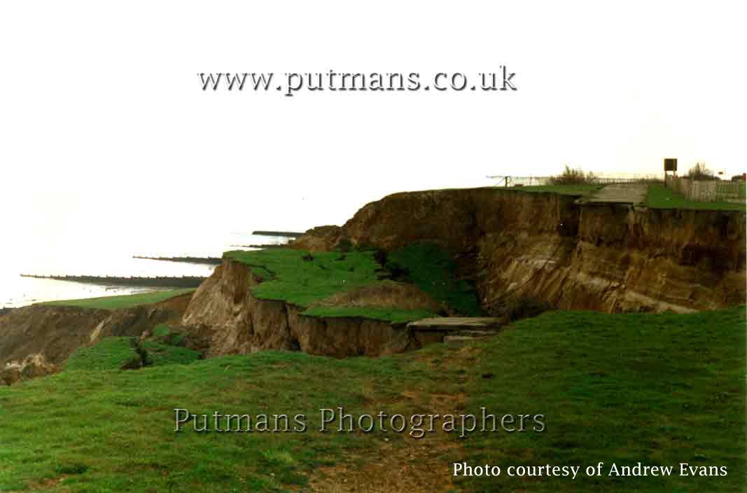 Ref 1494 Naze Clifftop