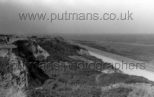 Ref 1559 Naze cliffs & Beach 1954
