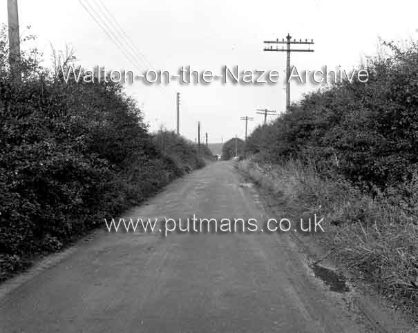 Ref 1916 Hall Lane 1966