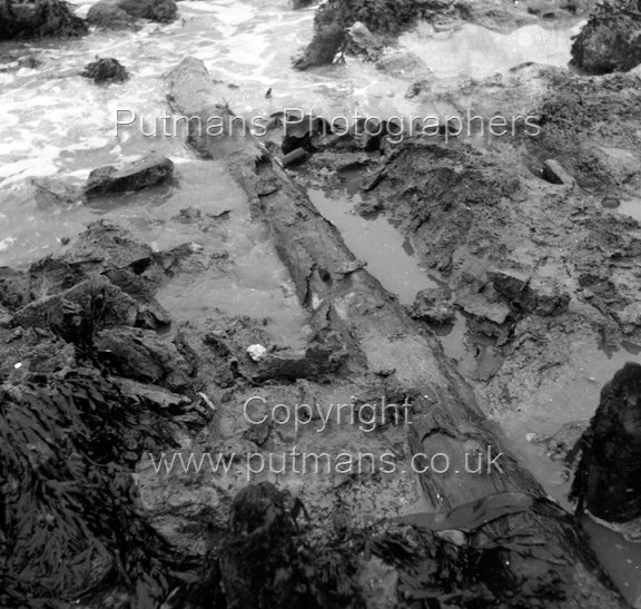 Ref 2005 Ancient wooden structure uncovered by sea at The Low 1963