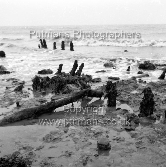 Ref 2008 Ancient wooden structure uncovered by sea at The Low 1963