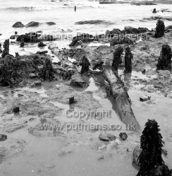 Ref 2009 Ancient wooden structure uncovered by sea at The Low 1963