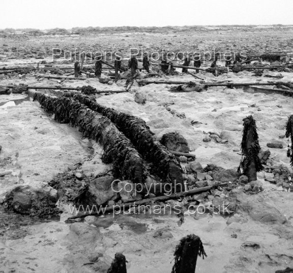Ref 2010 Ancient wooden structure uncovered by sea at The Low 1963