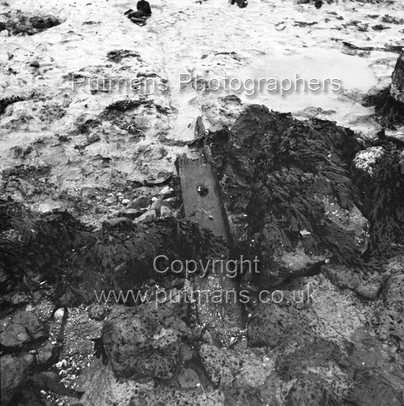 Ref 2013 Ancient wooden structure uncovered by sea at The Low 1963