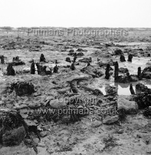 Ref 2021 Ancient wooden structure uncovered by sea at The Low 1963