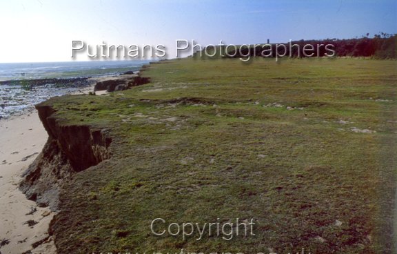 Ref 226 Naze Cliffs from The Low 1978
