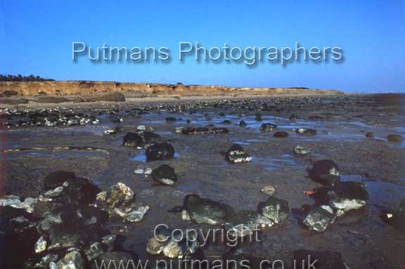 Ref 2271 Naze Cliffs 1978