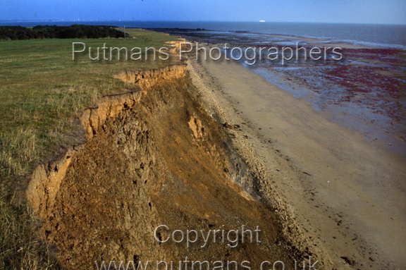 Ref 2277 Naze Cliffs 1978