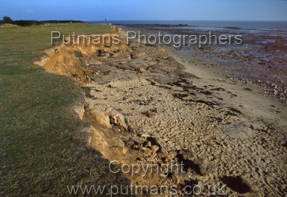 Ref 2278 Naze Cliffs 1978