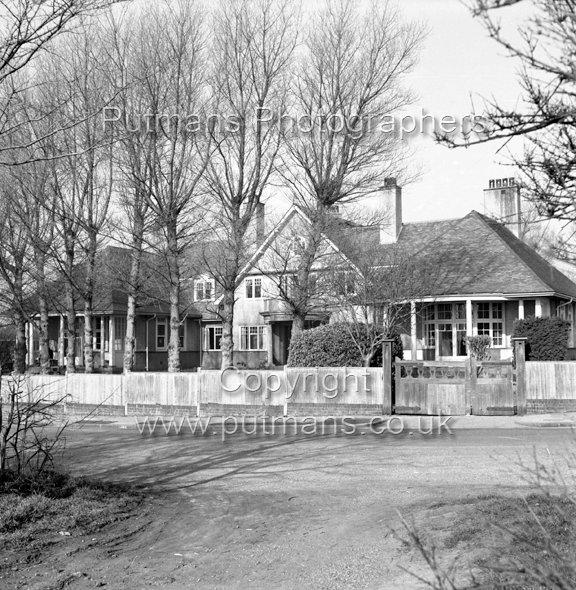 Ref 2549 Poplars 7.3.1950