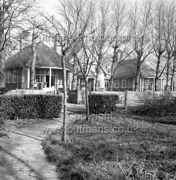 Ref 2550 Poplars 7.3.1950