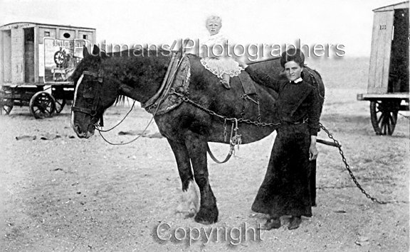 Ref 2620 East Beach Carter Bathing Machines Horse