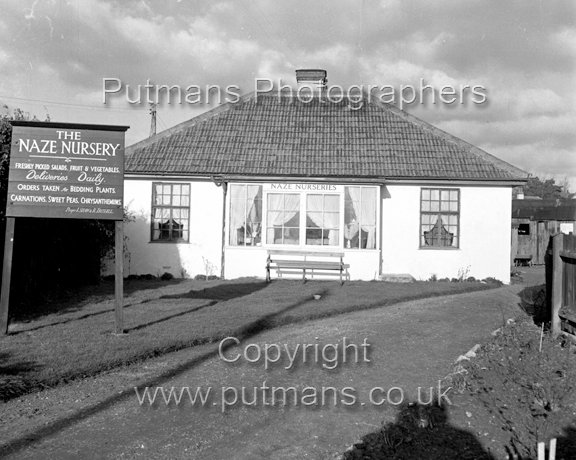 Ref 2710 Naze Nurseries c1950