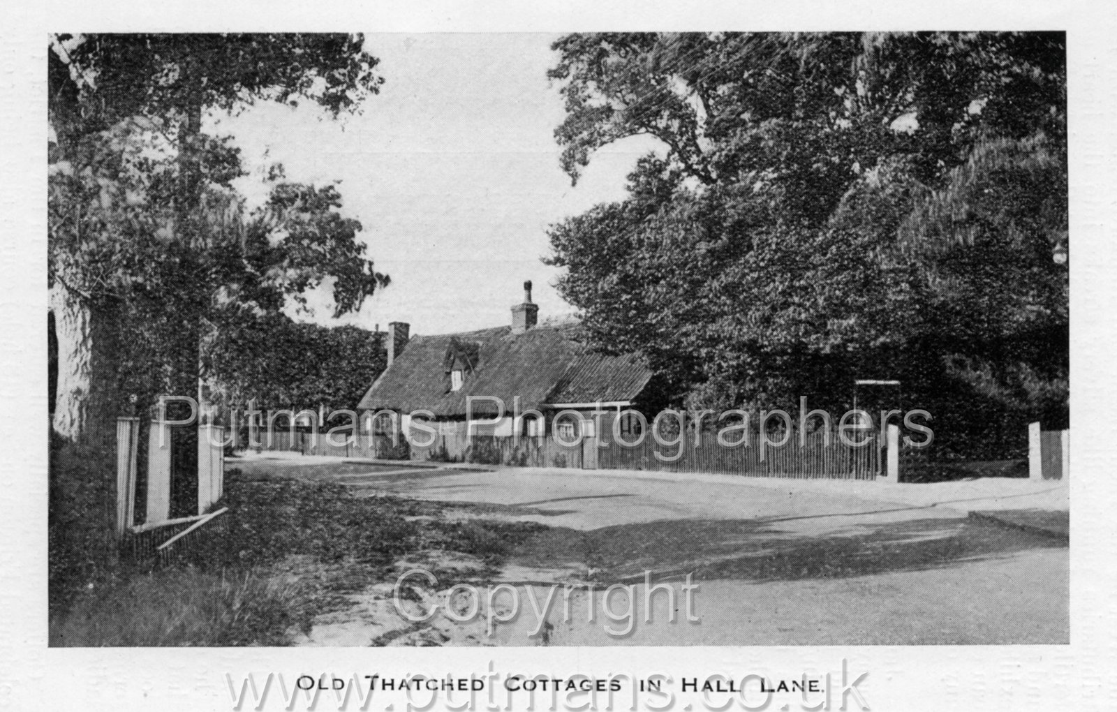 Ref 3024 Thatched Cottage