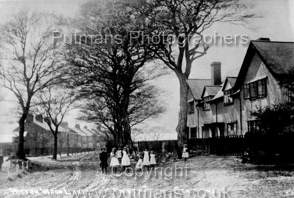 Ref OF657 Wittonwood Lane