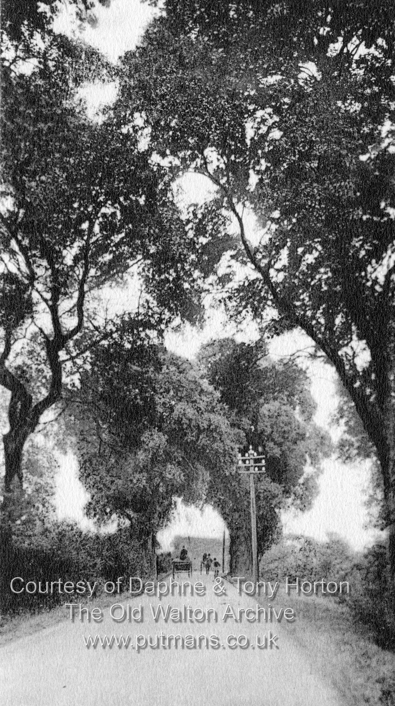 OF 710 Stuart's Lane