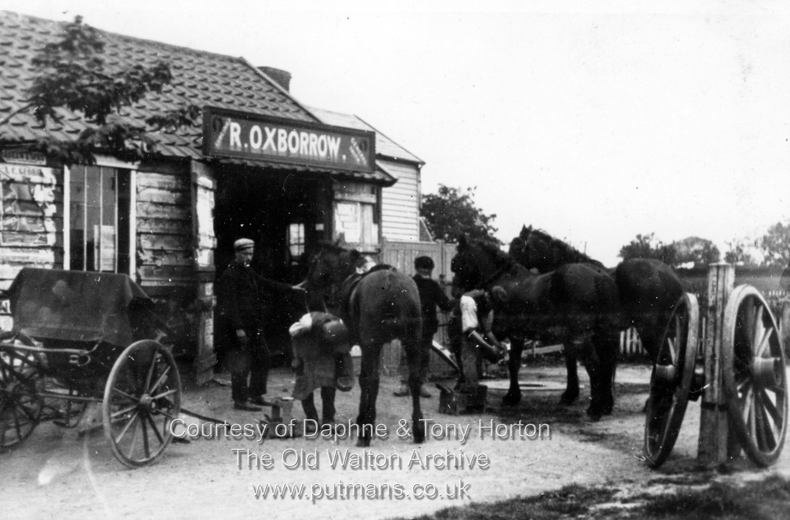 OK70 Oxborrow's - William Carter of Golden Lane Farm