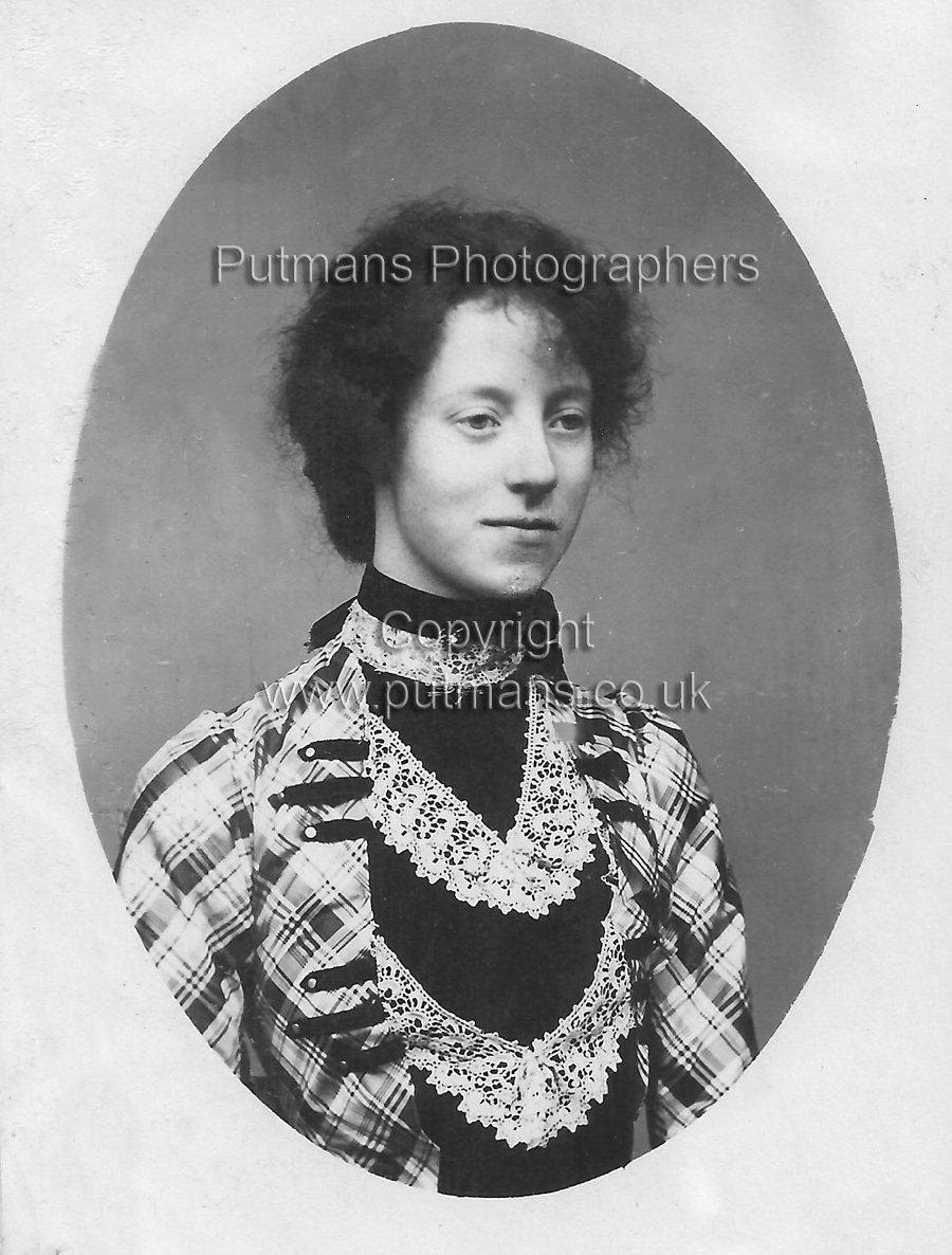 Batchelor Daisy
