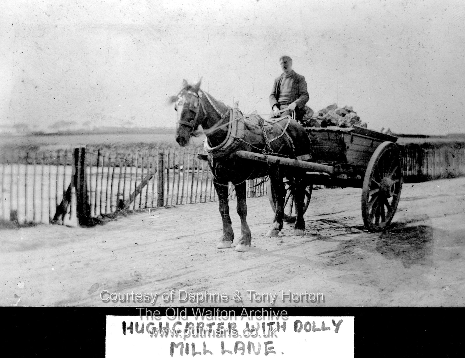 Carter Hugh & 'Dolly' - Mill Lane Ref 3064