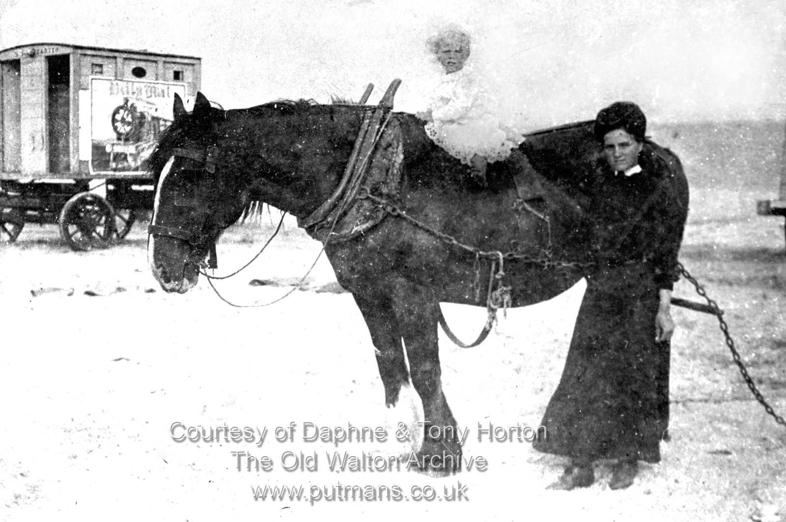 Carter Stephen horse & bathing machine Ref 3069