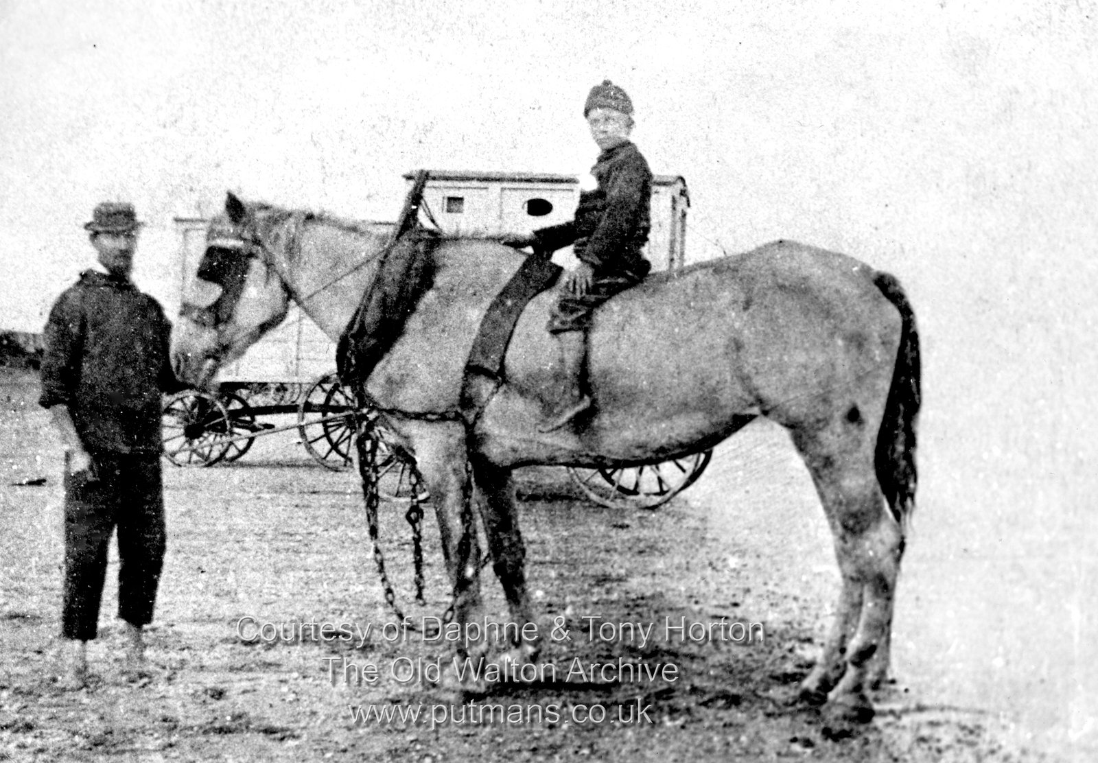Carter Stephen horse & bathing machine Ref 3070