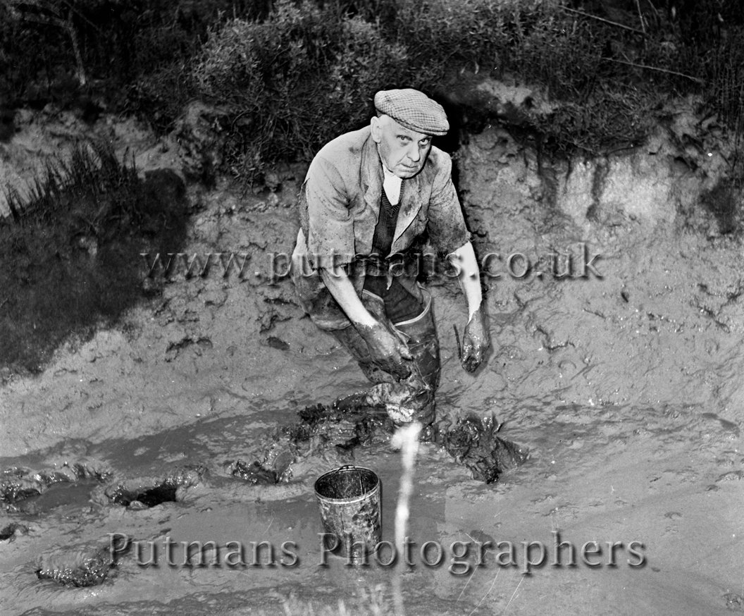 Gray 'Puffer' Bait digger 1966 (2)