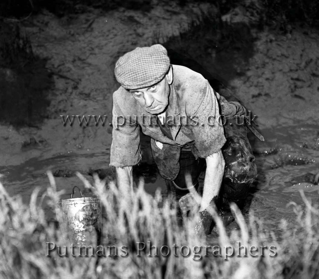 Gray 'Puffer' Bait digger 1966 (3)