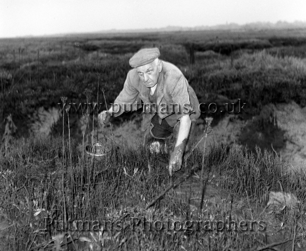 Gray 'Puffer' Bait digger 1966 (4)