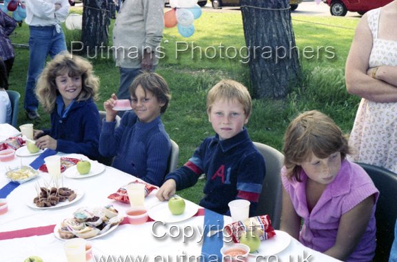 Royal Wedding Party Jubilee Field 1981