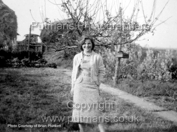 Rimmel Joan at Conifers, Kirby Road