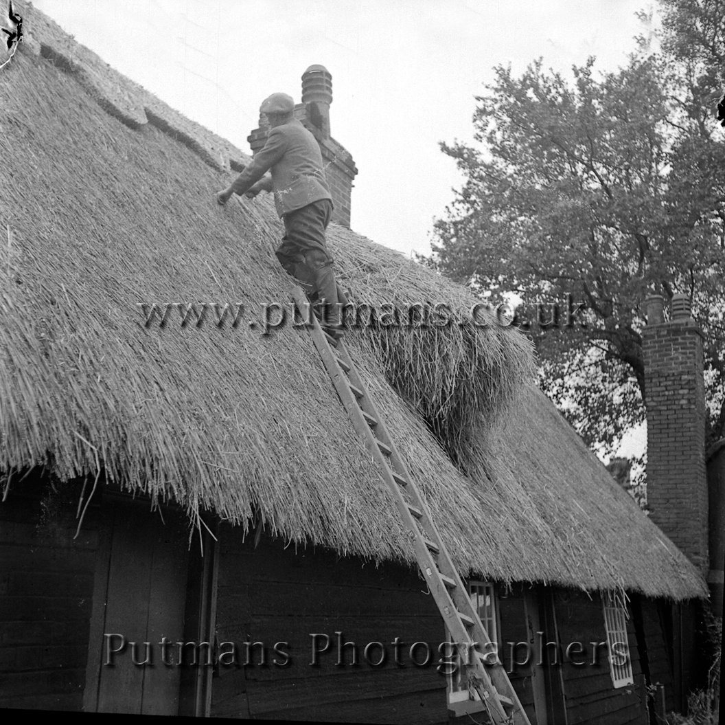 Wade Cyril - Thatcher c1950