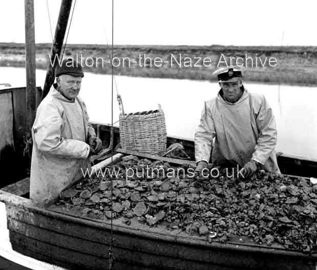 Ref 1894 Les Wall & Frank Bloom Walton Oysters 1965