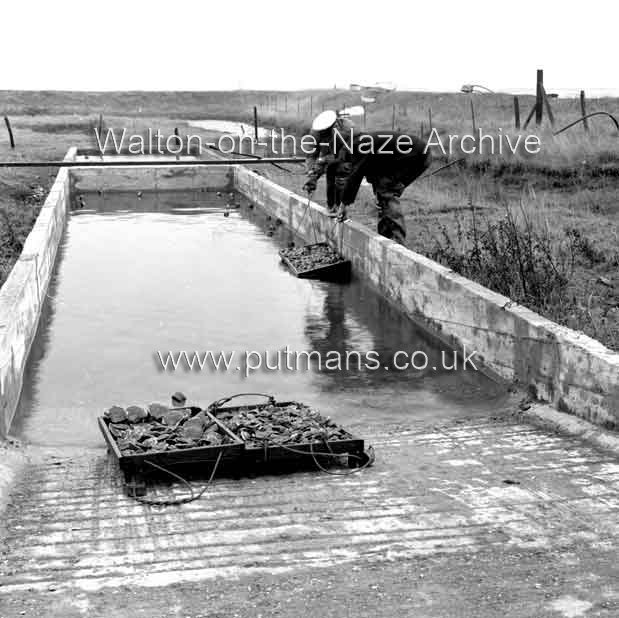 Ref 1895 Les Wall & Frank Bloom Walton Oysters 1965