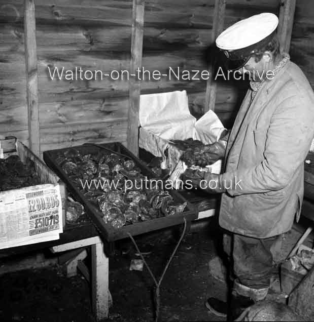 Ref 1896 Frank Bloom Walton Oysters 1965