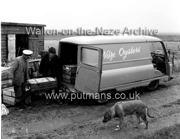 Ref 1899  Frank Bloom loading Walton Oysters 1965