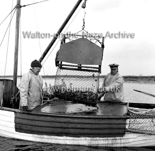 Ref 1900 Les Wall & Frank Bloom Walton Oysters 1965