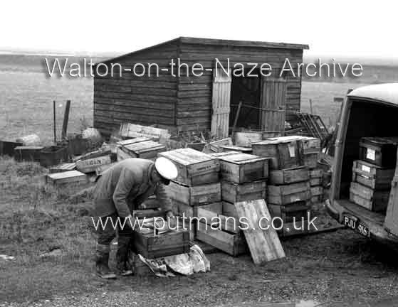 Ref 1901 Frank Bloom boxing Walton Oysters 1965