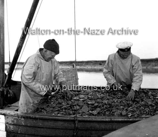 Ref 1902 Les Wall & Frank Bloom Walton Oysters 1965