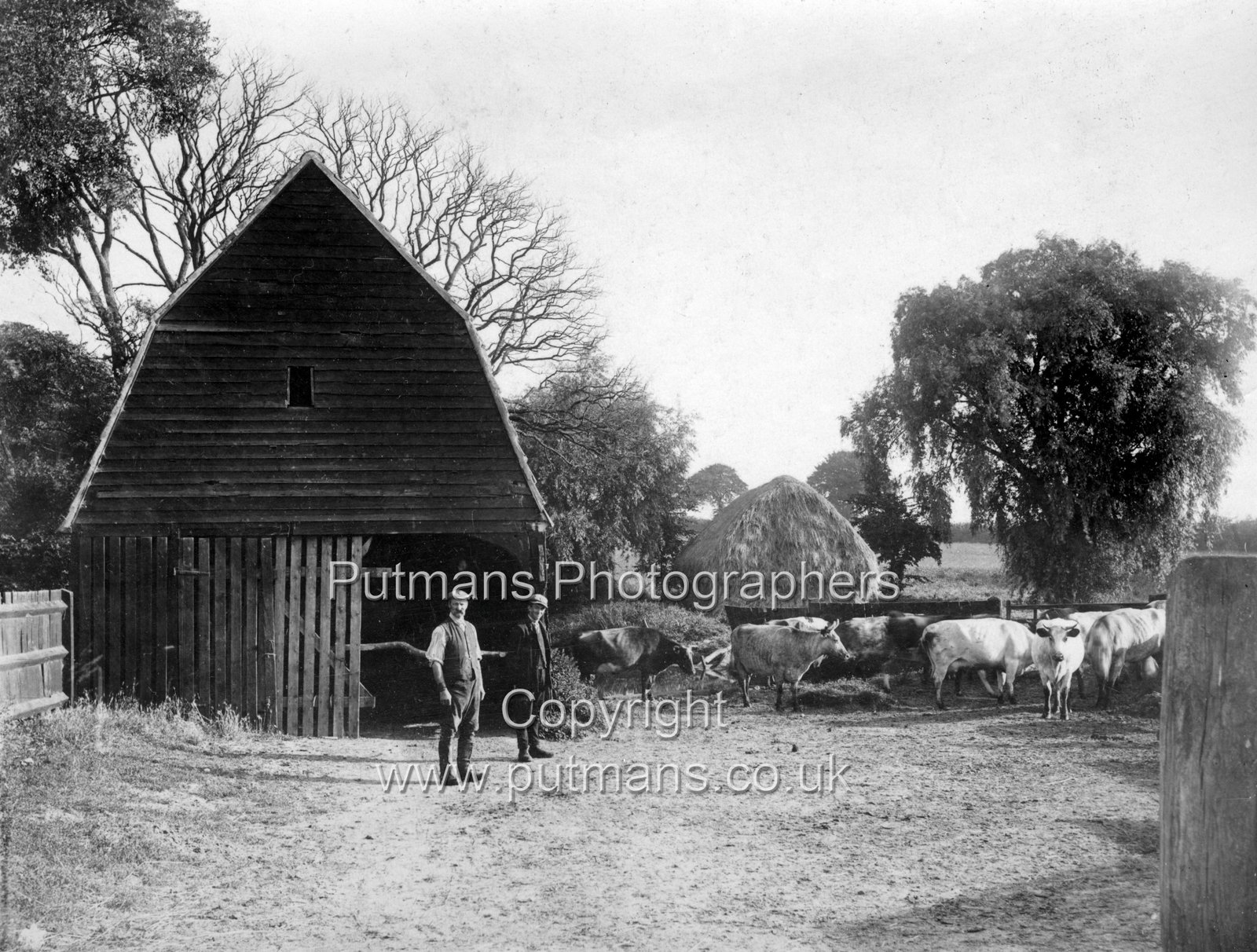 Ref 2962 New House Farm c1906