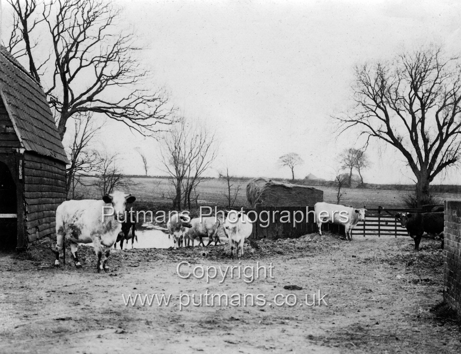 Ref 2963 New House Farm 1910