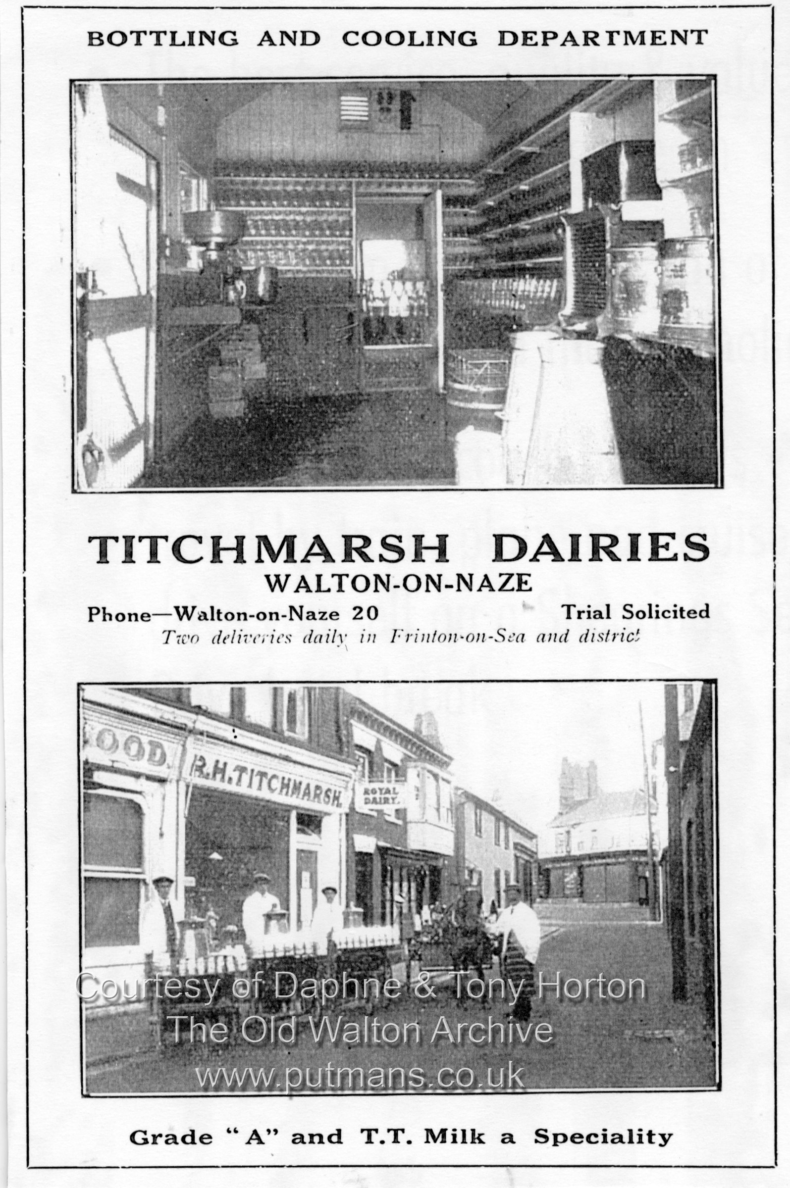 Ref 3174 Titchmarsh Dairy Advert